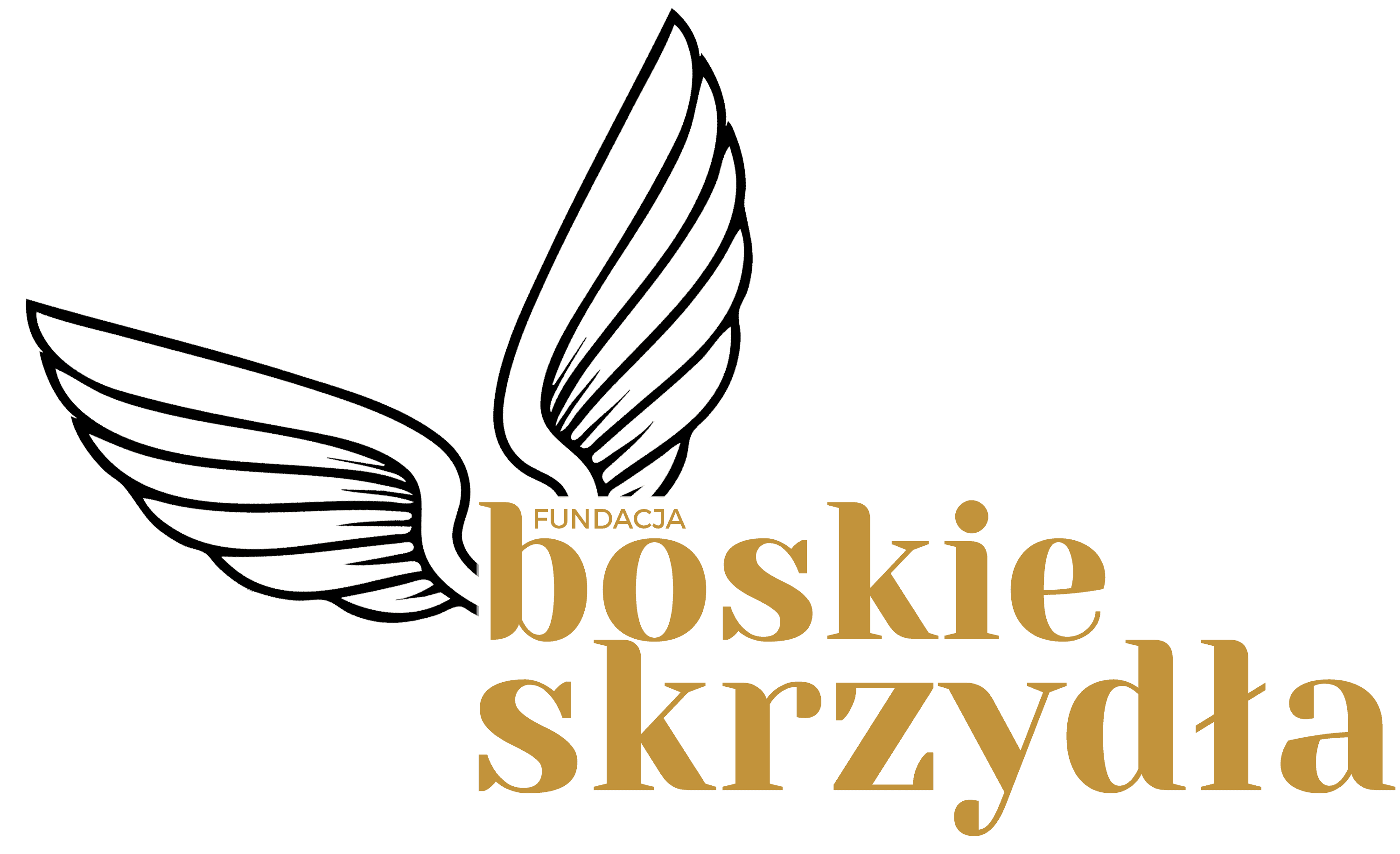 Stylowa grafika logo Fundacji Boskie Skrzydła z motywem skrzydeł i tekstem, symbolizująca wsparcie i nadzieję dla potrzebujących dzieci i młodzieży w Polsce.
