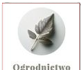 Ogrodnictwo Jurenczykowo